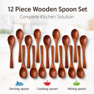 Handcrafted Wooden Salt Spoon Set